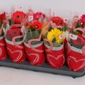 Gerbera COLOURGAME MIX