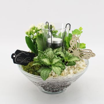 Arrangement Basic Fundamentals