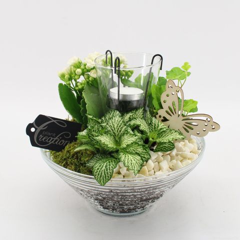 Arrangement Basic Fundamentals