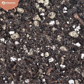 Substrates BONSAI MIX