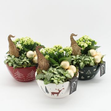 Arrangement Christmas