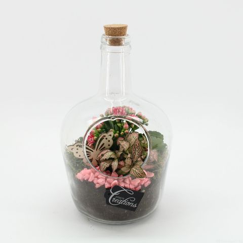 Kомпозиции Essentials Terrarium