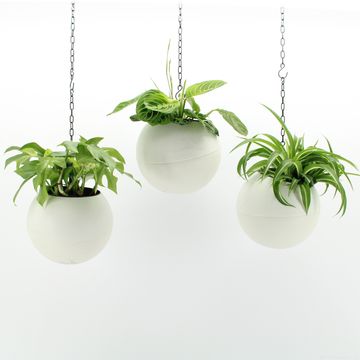 Ετοιμασίες Indoor Green Mix