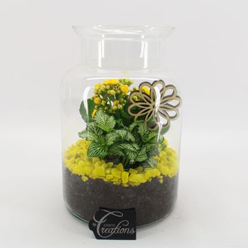 Arreglo  Basic Fundamentals Terrarium