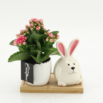 Kомпозиции Пасха