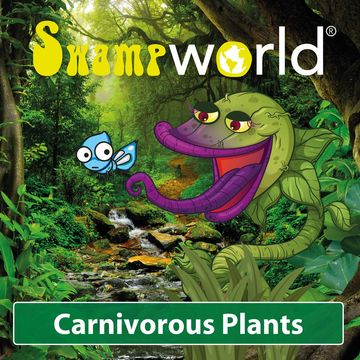 Fleischfressende Pflanzen MIX