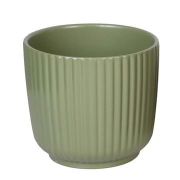 Pot 7 cm