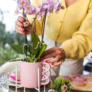 Kolibri Home Happy mug