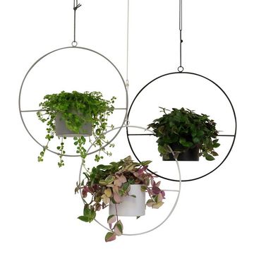 Plantas o interior MIX