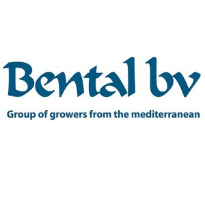 Bental