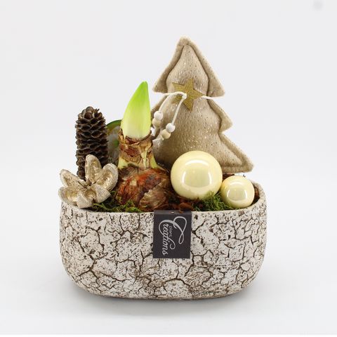 Arrangement Christmas