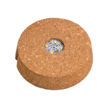 Arrangement Terrarium