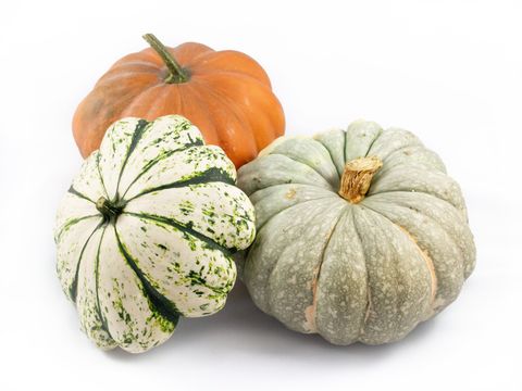 Cucurbita MIX