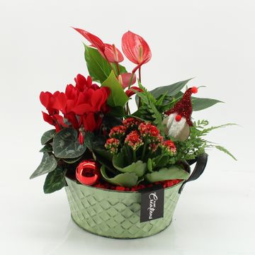 Aranżacja Boże Narodzenie