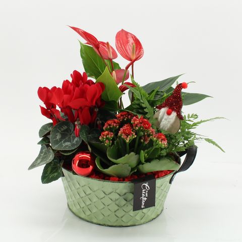 Arrangement Christmas