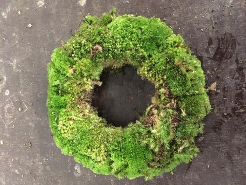 Christmas wreath