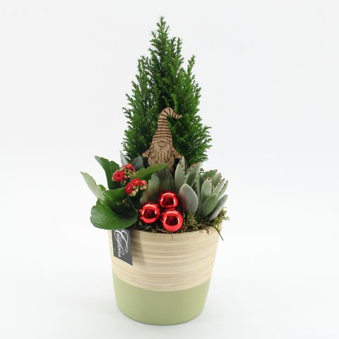 Arrangement Christmas