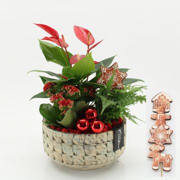 Arrangement Christmas