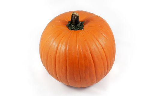 Cucurbita maxima 'Halloween'