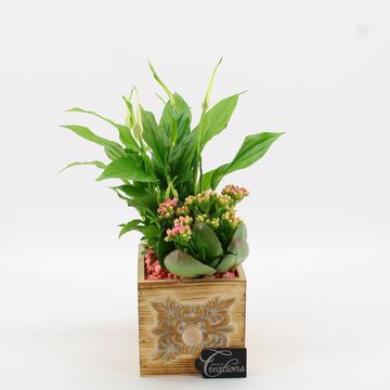 Ετοιμασίες Essentials