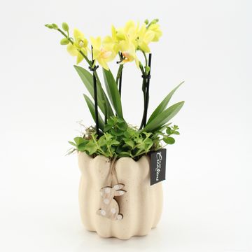 Kомпозиции Пасха