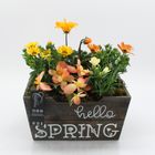 Arrangemang Spring