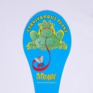 Sarracenia x readii 'Farnhamii'