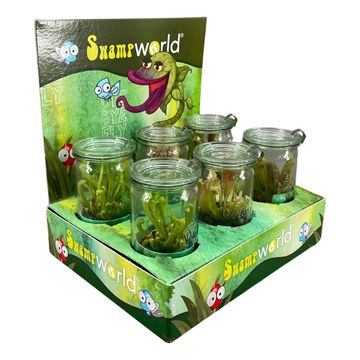 Carnivorous plants MIX