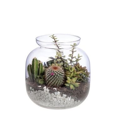 Composizione Cactus/Succulent