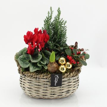 Arrangement Christmas
