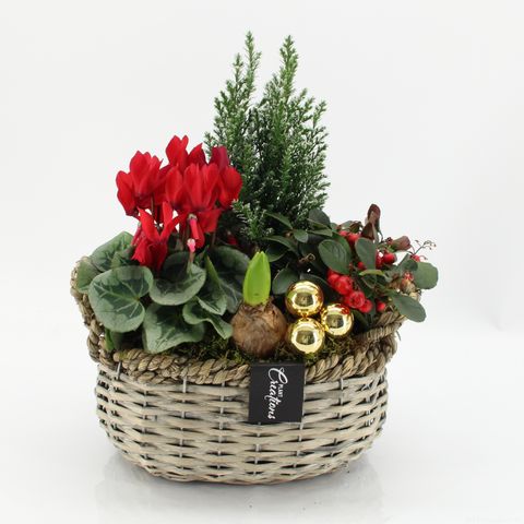 Arrangement Christmas