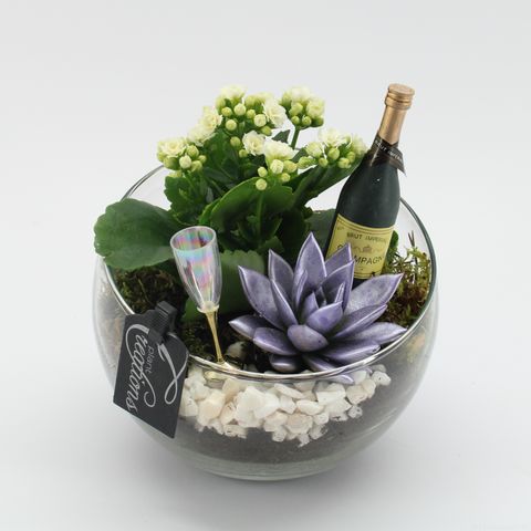 Arrangement New Year