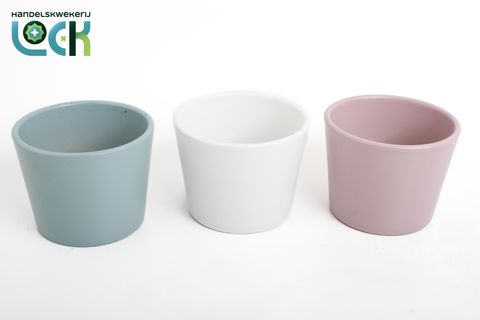 Pot 10.5 cm