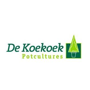 Koekoek Potcultures, de