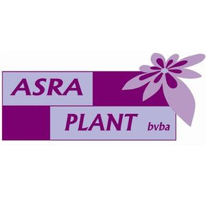 Asra Plant
