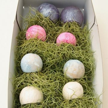 Tillandsia usneoides