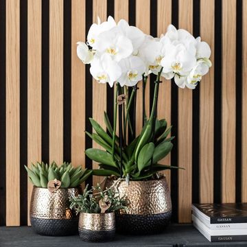 Pot KOLIBRI HOME ELITE COPPER