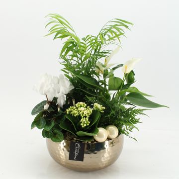 Arrangement Christmas