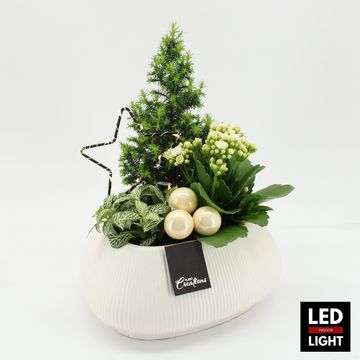 Arrangement Christmas