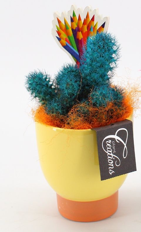 Arrangement Back to school