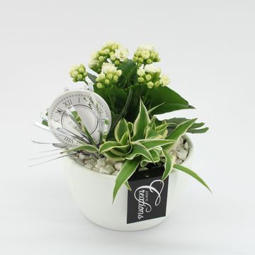 Arrangement New Year