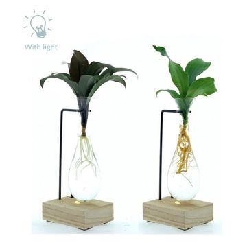 Arrangements Houseplants Arrangements Houseplants