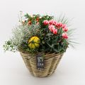 Arrangement Herbst