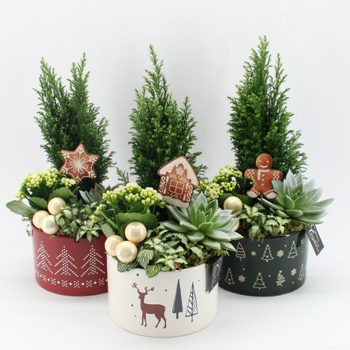 Arrangement Kerst