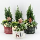 Arrangement Kerst