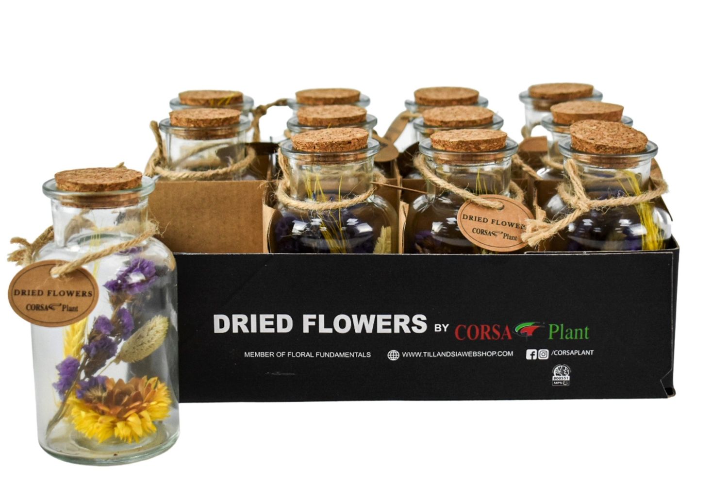 Dried Flowers MIX — Plant Wholesale FlorAccess