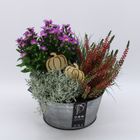 Arrangement Automne