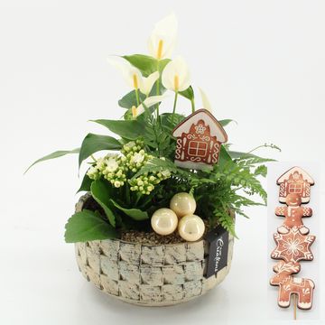 Arrangement Christmas