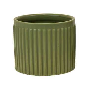 Pot 6 cm