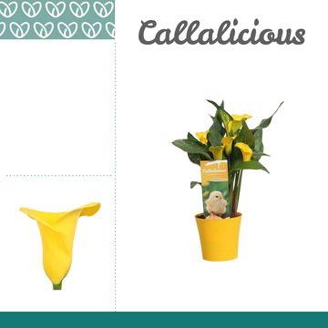 Ετοιμασίες Πάσχα